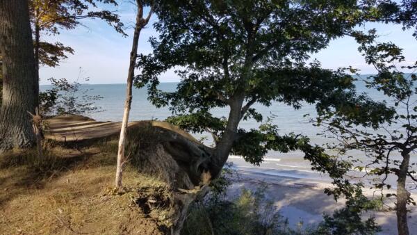 Lake Erie cliffs
